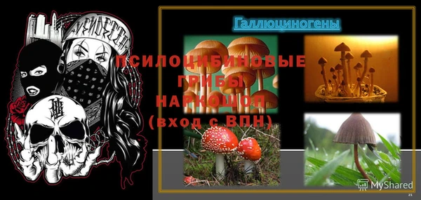 первитин Горнозаводск