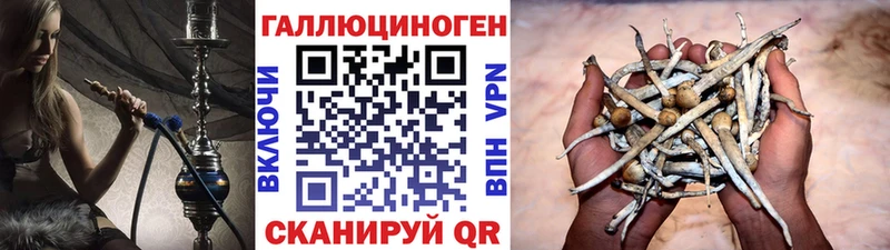 Галлюциногенные грибы Magic Shrooms Минеральные Воды