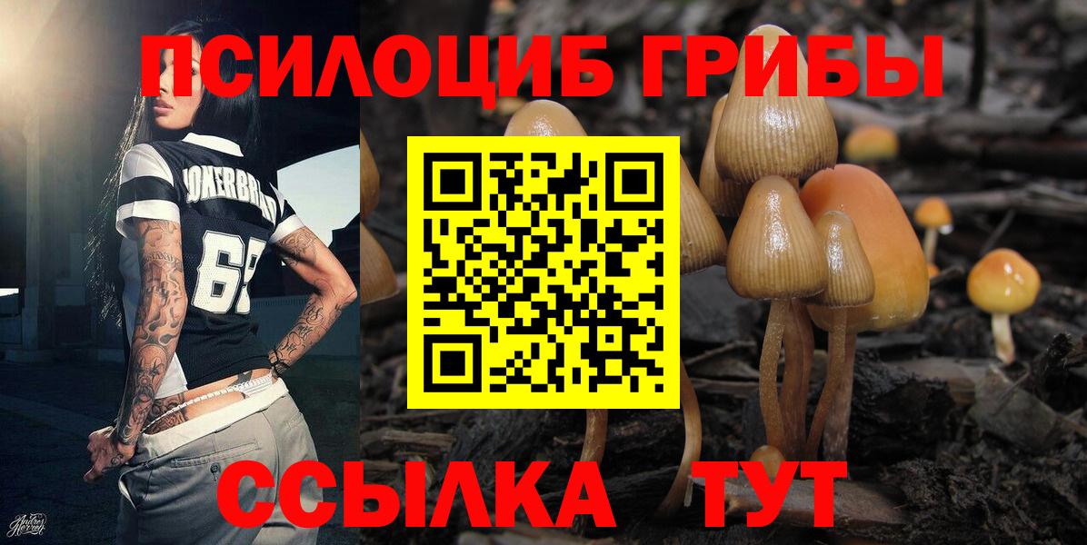 Псилоцибиновые грибы GOLDEN TEACHER Минеральные Воды